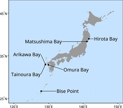 Variability in the Net Ecosystem Productivity (NEP) of Seaweed Farms